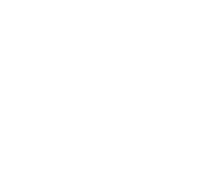 Logotipo IBS